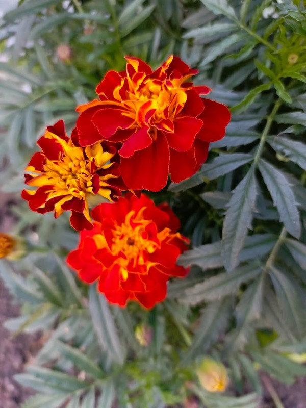 IMG_20230930_181522_091