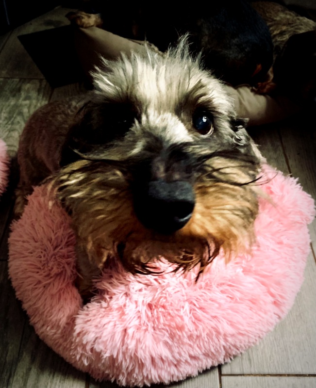 [Image: IMG-2745.jpg]