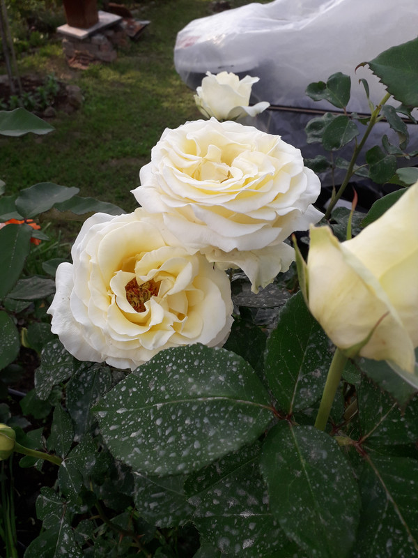 20190601_180002