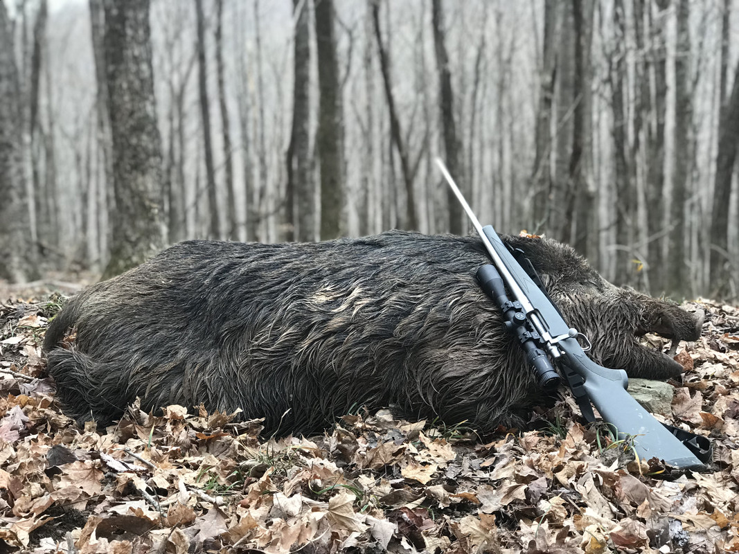 37189AD7-E847-424D-AA64-880F0EF1C101