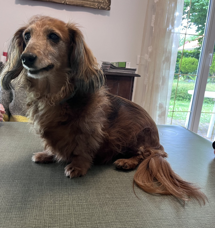 [Image: IMG-9317.jpg]