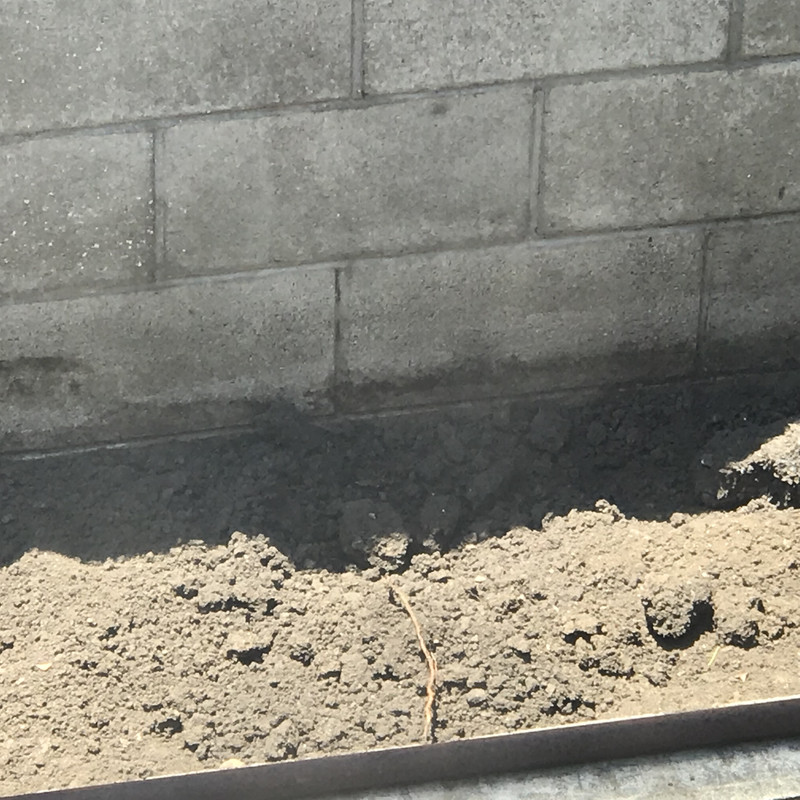 B7D701AE-08BF-4432-B5EB-1CC00E901649