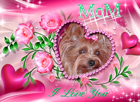 Pearle Maman 1