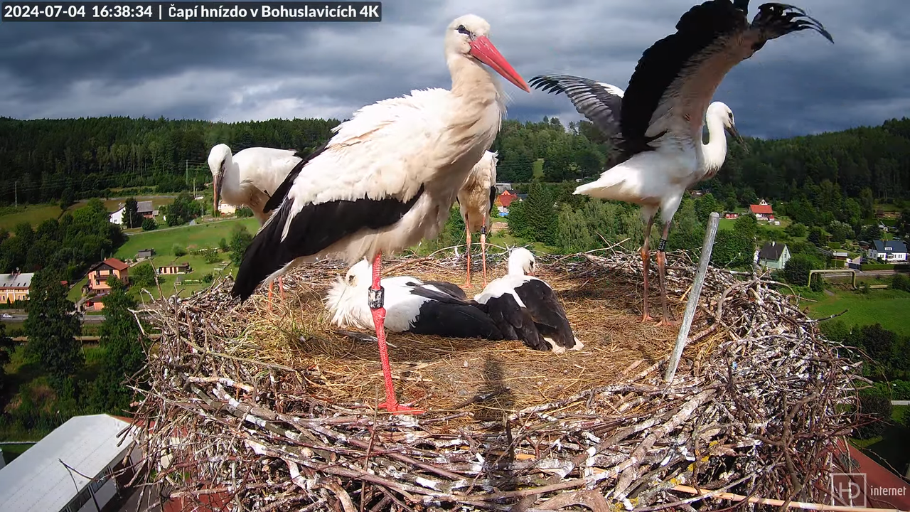 Tiešraidē no uzņēmuma KARA stārķa skursteņa Bohuslavicē pie Trutnovas 14-4-10 screenshot