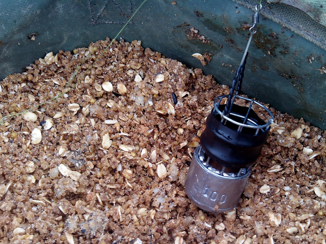 Добрянка 06.04.15 02