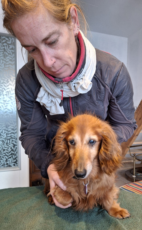 [Image: 20231129-151631.jpg]