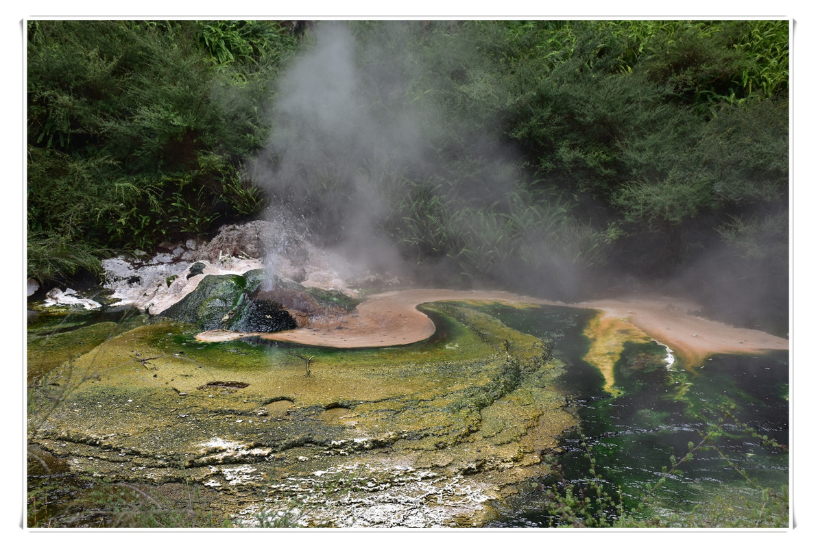 Cosas que hacer en Rotorua - Escapadas y rutas por la Nueva Zelanda menos conocida (58)