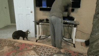 1655756320-6.gif