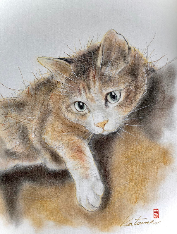 288243593_3315181935371255_2880959358913497155_n