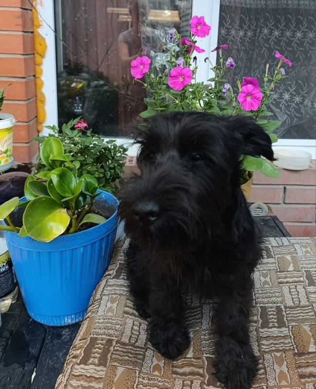 1.JfB9G7a4iRlLrAsUO0N6wxi6ix_DugsPS7eLG82ygRPL