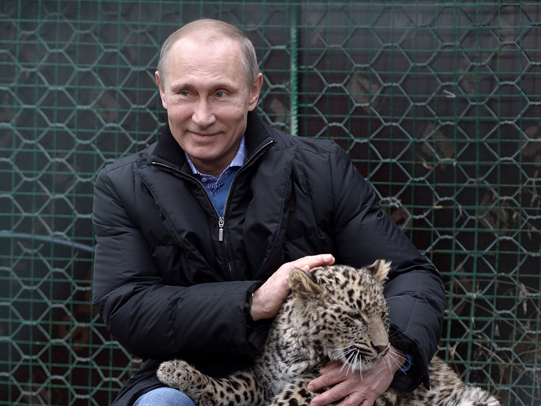 https://i.postimg.cc/gk9hd2kC/Vladimir-Putin-Men-Leopards-533309-1600x1200.jpg