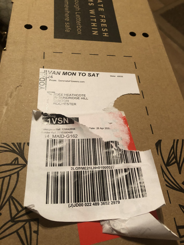 27290455-EBE0-4BE1-9868-3FA1CF6FD46A