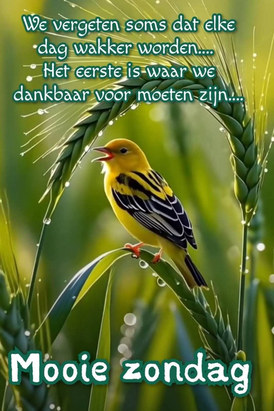 Welkom bij Pps Eddy