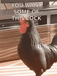 IMG-1067.gif