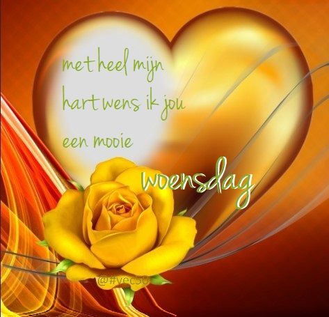 629a70e84e6173141f6e4b6be5c690a2