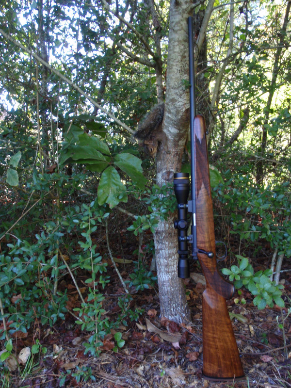 7263EE23-80EF-4C96-A7C3-32C27509DB7B