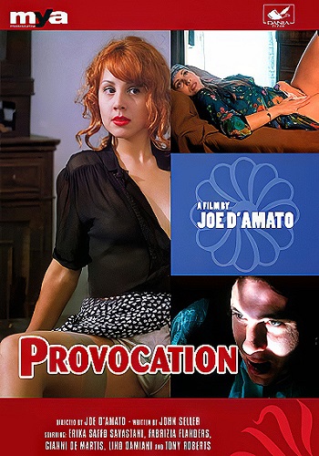  / Vizio e provocazione (Provocation) (1995) DVDRip-AVC