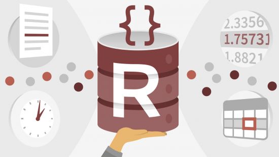 R Programming in Data Science: High Variety Data