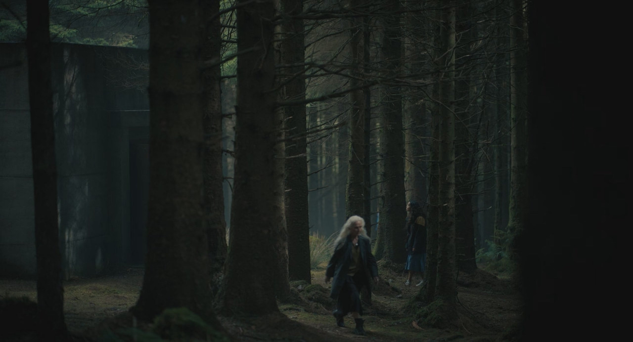 The Watchers - Loro ti guardano (2024) .mkv 720p WEB-DL DDP 5.1 iTA ENG H264 - FHC.mkv_20240718_2130