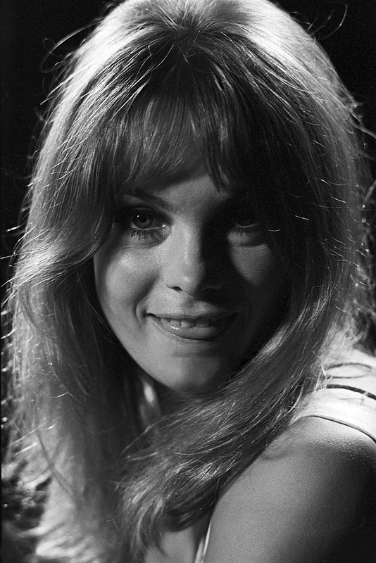 jean_shrimpton_md71