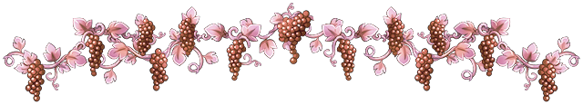 Rosé_Banner