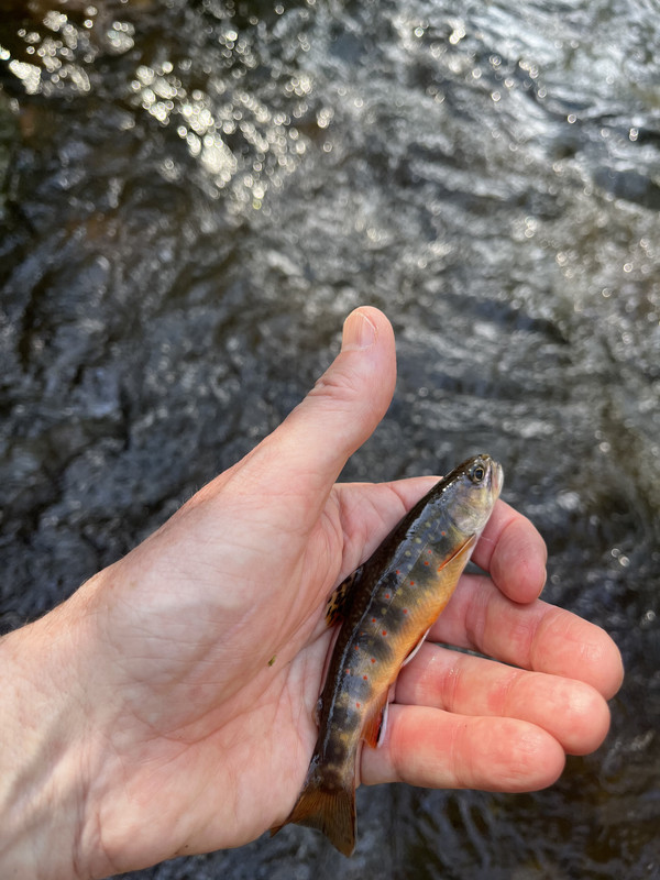 11A3DFBC-FBA2-48AC-8A31-3E1409BC7FB3