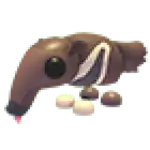Giant Anteater