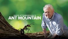 David-Attenborough-Ant-Mountain-E01-E02.jpg