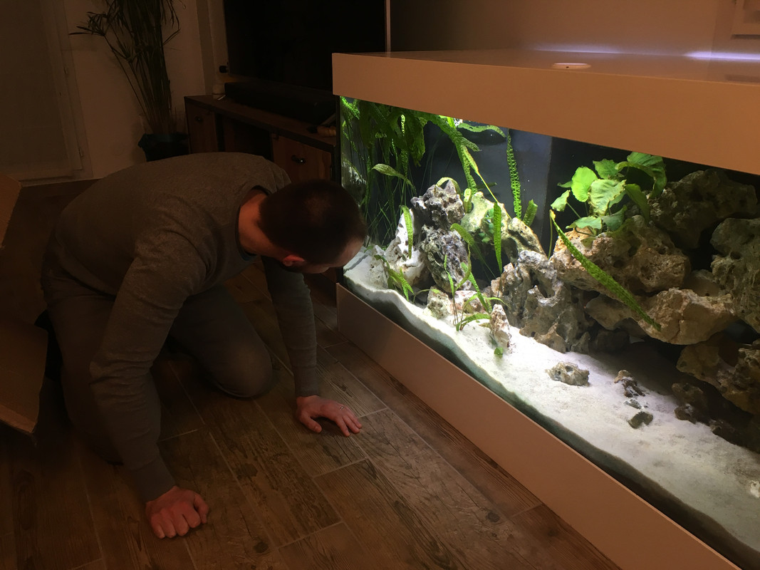 A0B5BA3B-1B55-4A37-B970-423D009B73BB