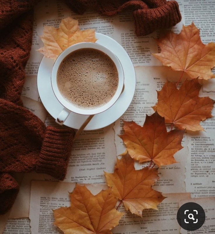 Screenshot_20231031_170546_Pinterest