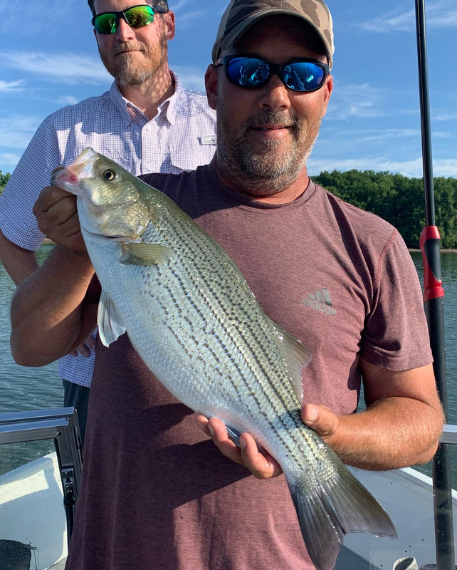 F50A8DB4-2A65-44F2-9646-C72214E89E80