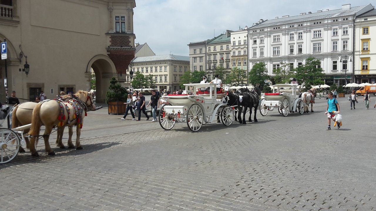 [Bild: 20240529-115308.jpg]