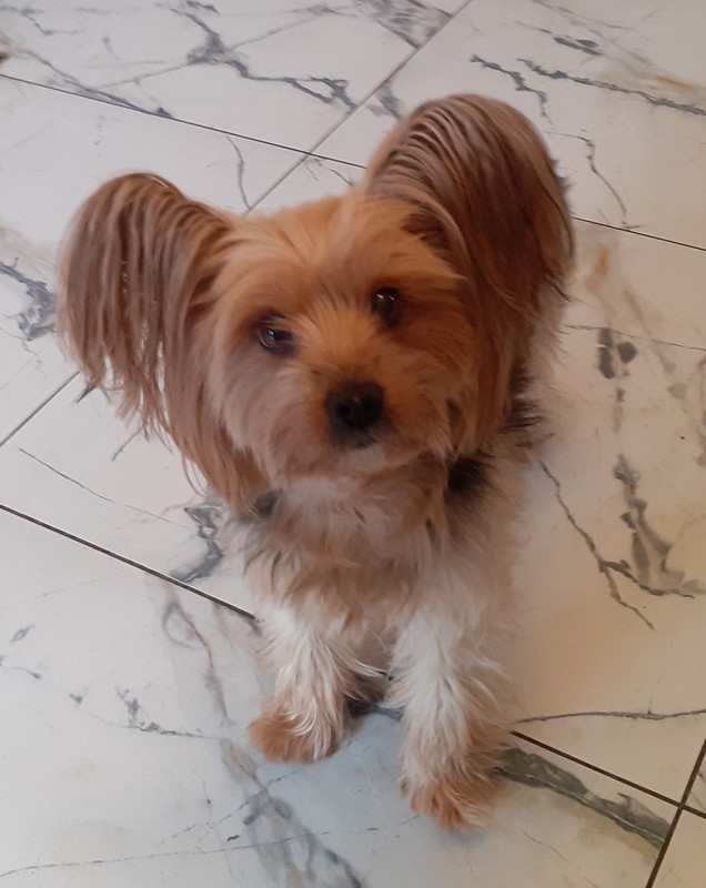 [Obrazek: tusia.jpg]