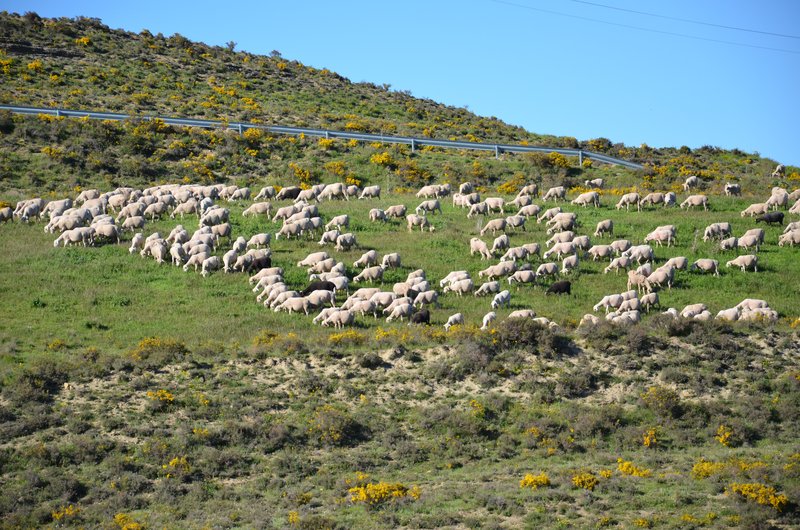 BRETUN-25-5-2013 - Soria y sus pueblos-2010/2013/2020 (45)