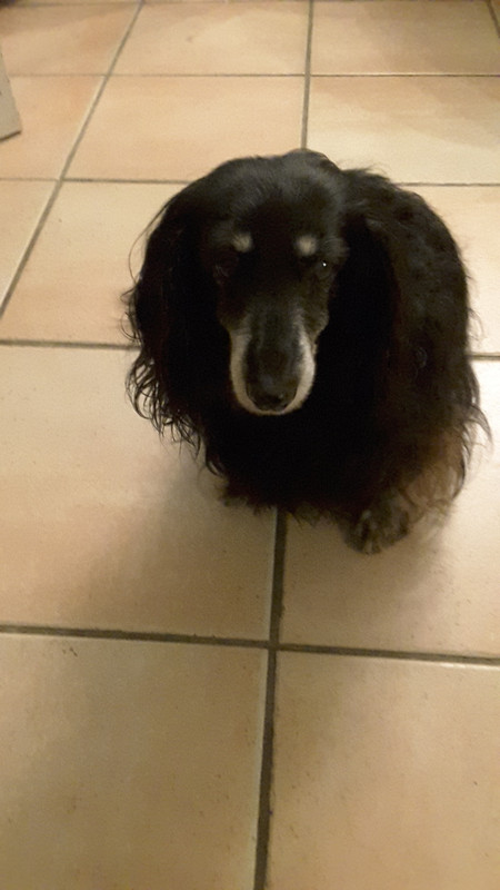 [Image: 20201222-195222.jpg]