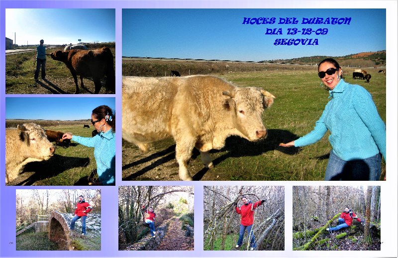 Segovia y su Pueblos-1993/2024 - Blogs de España - Hoces del Río Duratón-2009/2017 (2)
