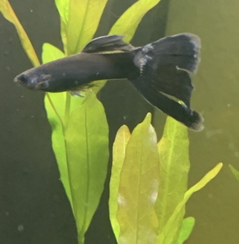 C23F1F60-3AA4-4593-A946-C5582A5D37AA