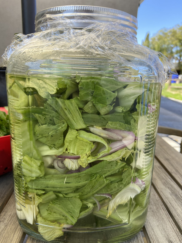 56DE1662-56F7-487F-8B1A-5663F36F7E05