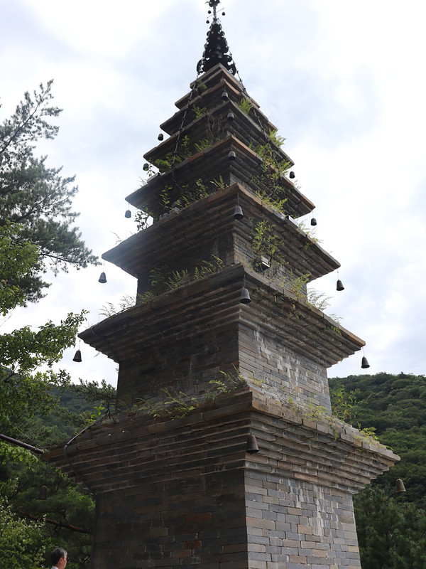 IMG-3233