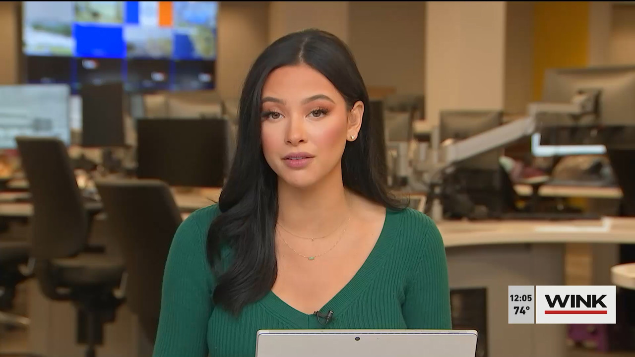 12.21 - 17.00.00 - The WINK Noon News  ᴺᵉʷ. Midday news update..ts_snapshot_11.21.552