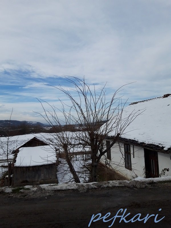 Slika