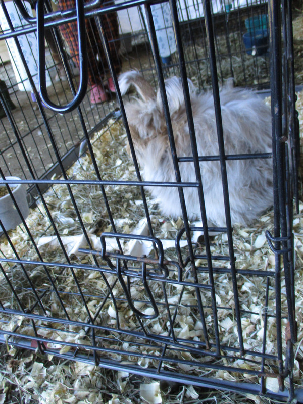 IMG 2495 — Postimages