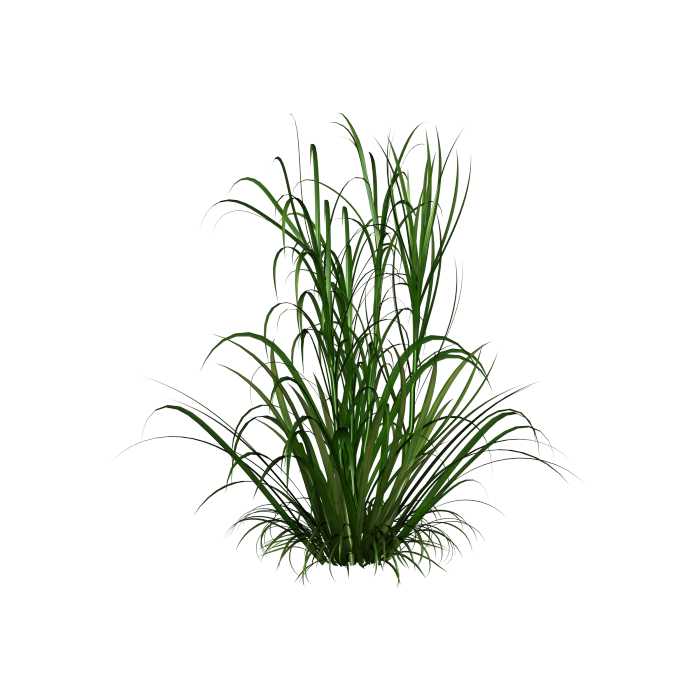 e57