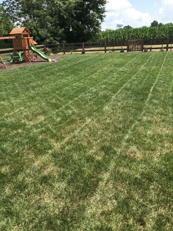 FF675230-C888-4AF9-ADA8-66EAFF7DC1F2