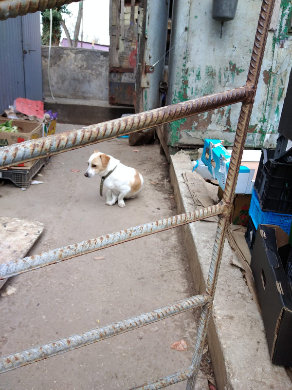 изображение_viber_2023-04-08_17-22-46-399