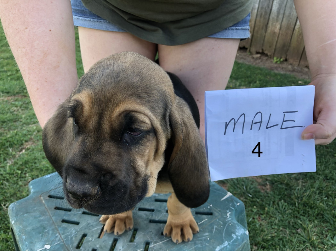 E72D8FD4-0098-46B4-961B-2A8F21015BD0