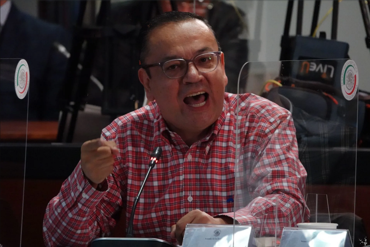 Grupo Plural pide a Yasmín Esquivel no presentarse a elección de la Corte