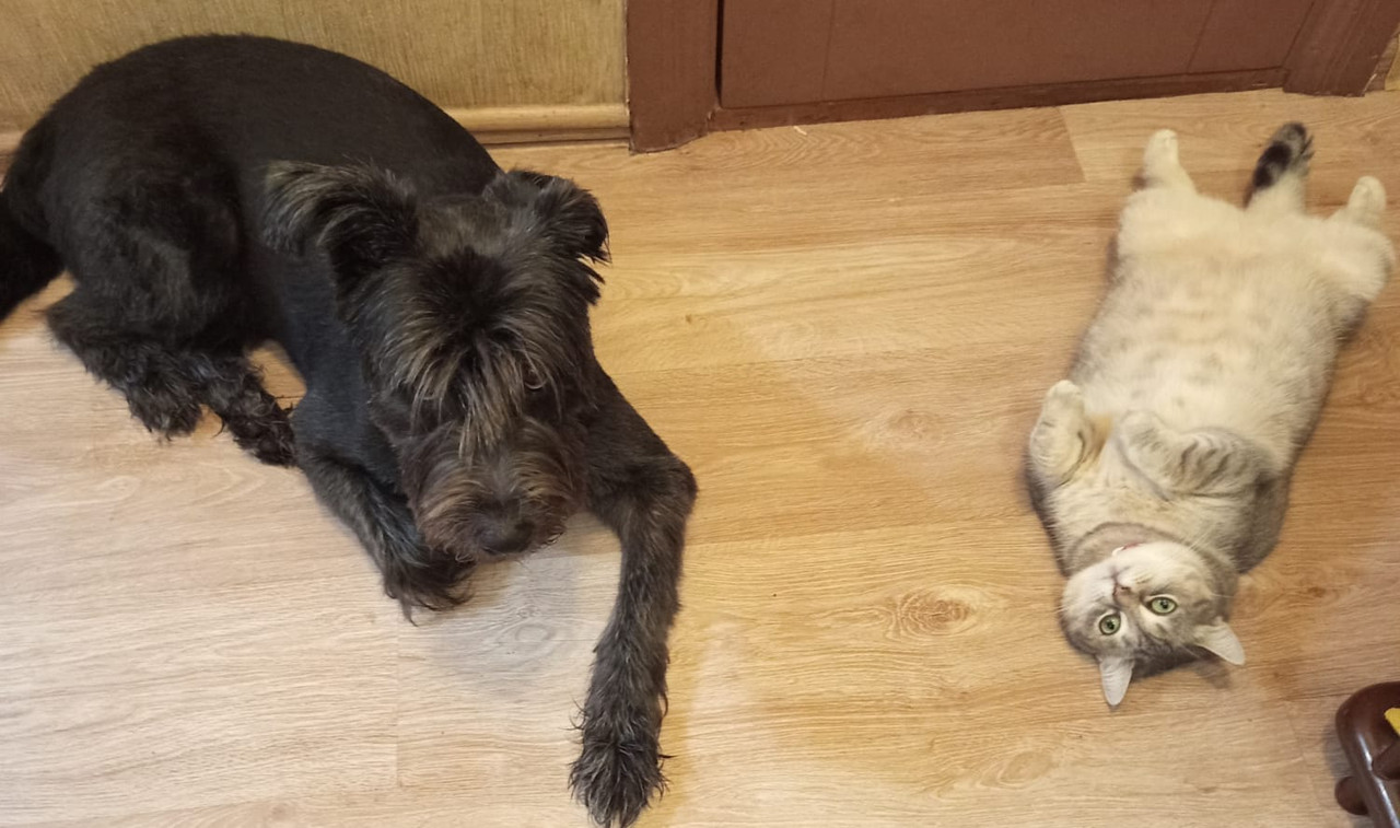 Изображение WhatsApp 2025-09-09 в 21.00.14_a3f8669f