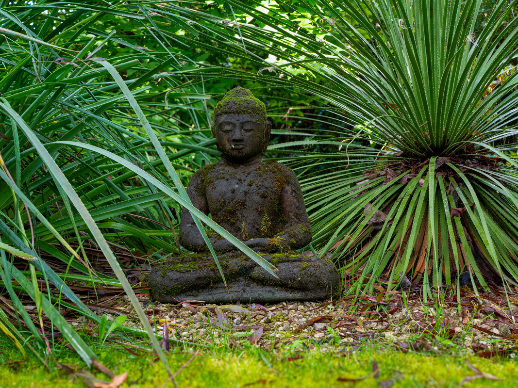 Bouddha sombre