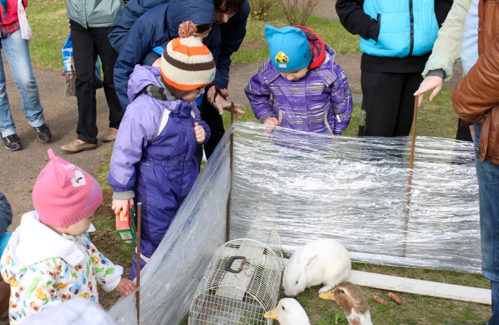 Снимок экрана 2017-05-06 в 22.40.59